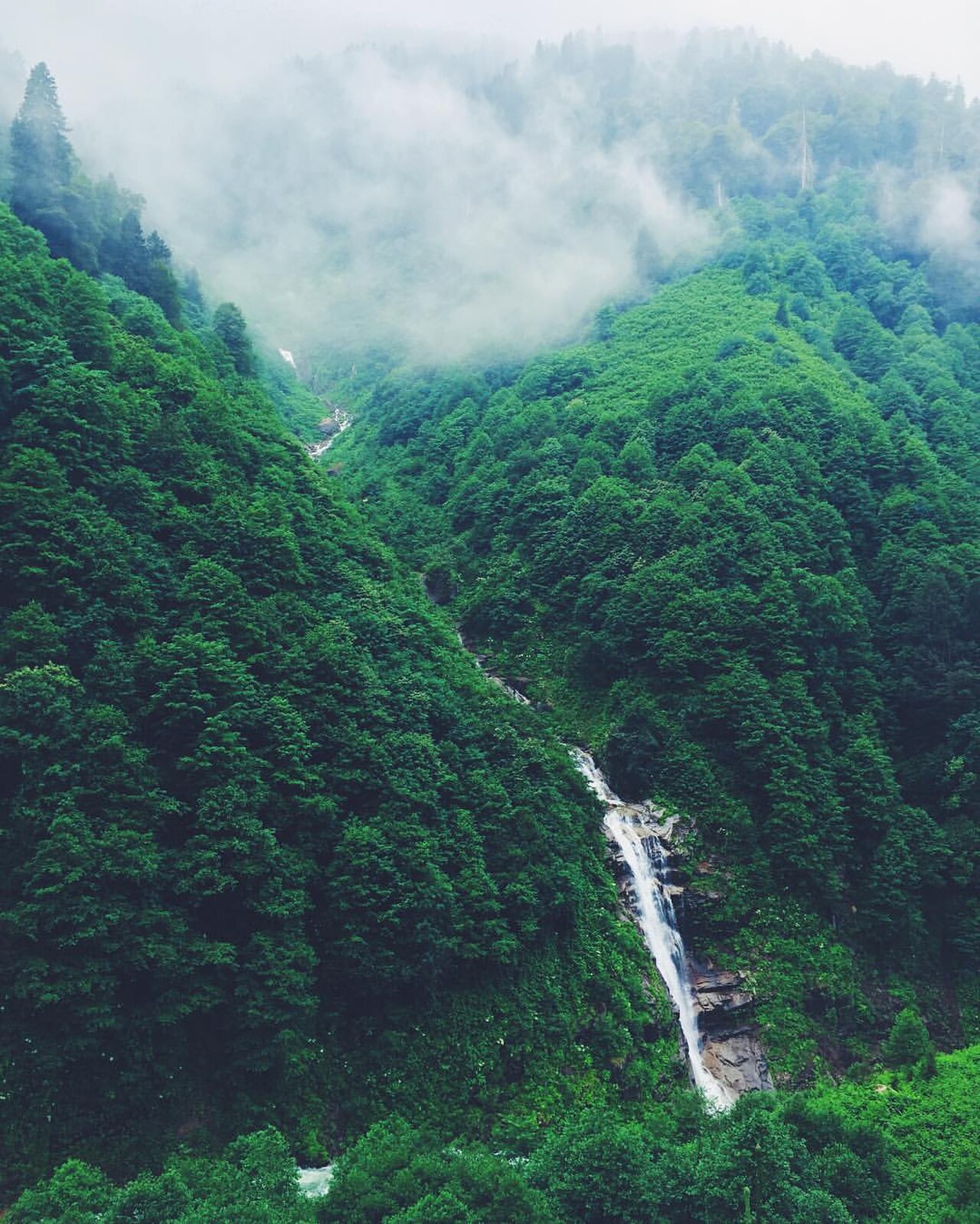 Ayder
