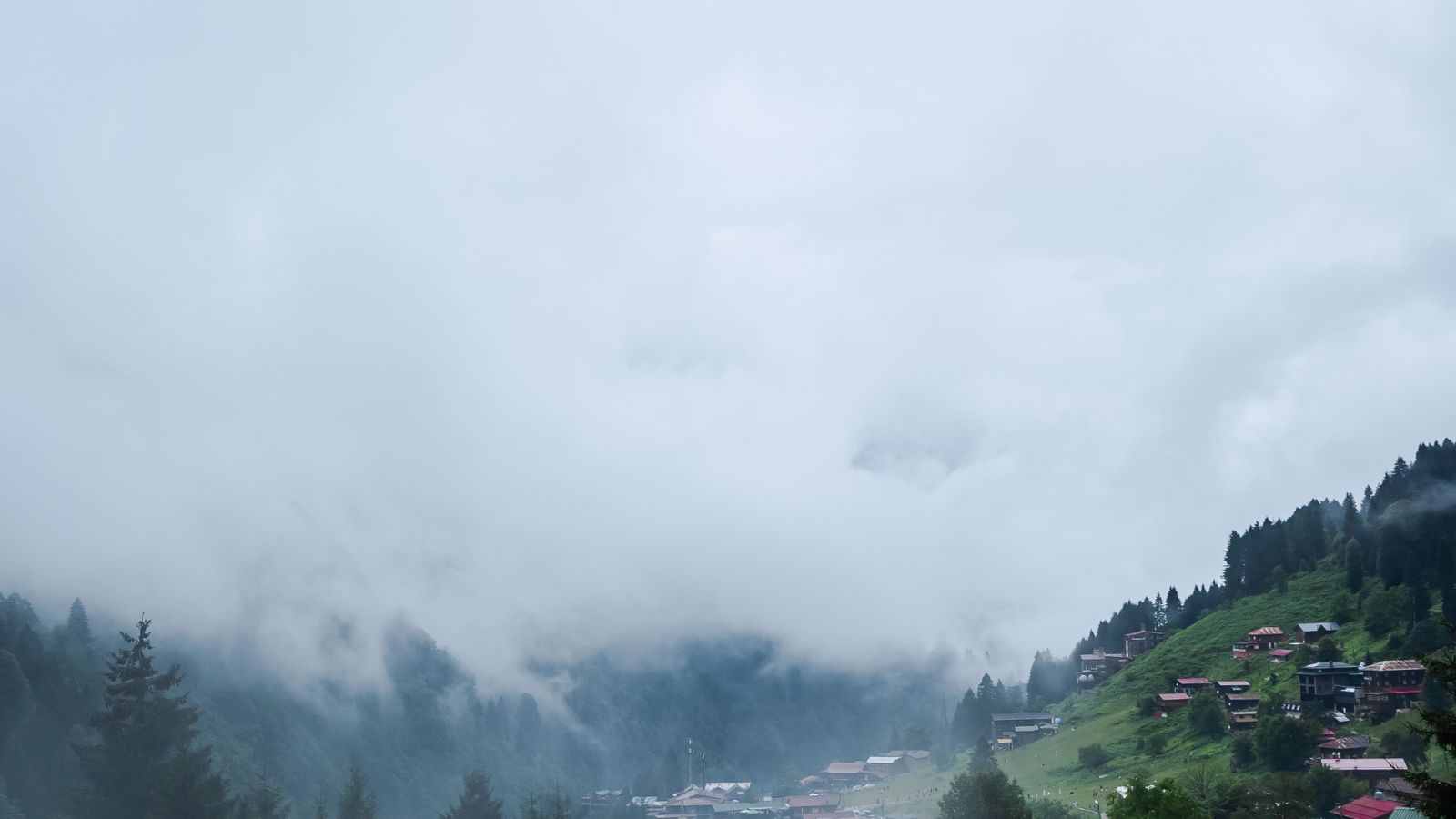 Rize